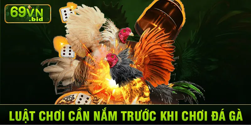 Luật chơi cần nắm trước khi chơi đá gà