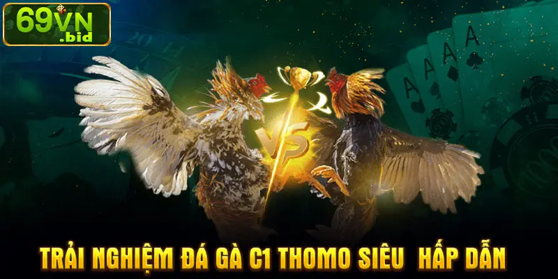 Trải nghiệm đá gà C1 Thomo siêu  hấp dẫn