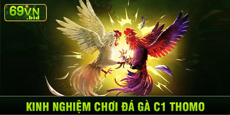 Kinh nghiệm chơi đá gà C1 Thomo