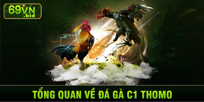 Tổng quan về đá gà C1 Thomo