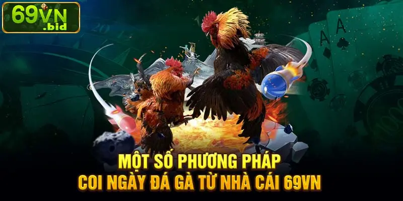 Một số phương pháp coi ngày đá gà từ nhà cái 69VN