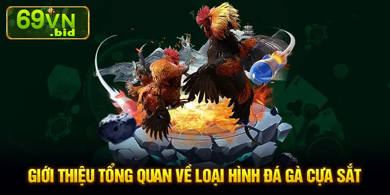 Giới thiệu tổng quan về loại hình đá gà cựa sắt